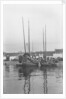 A bow view of two Tsingtao fisher type junks moored stern-on to the shore at Tsingtao by David Watkin Waters