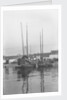 A bow view of two Tsingtao fisher type junks moored stern-on to the shore at Tsingtao by David Watkin Waters