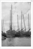 A bow view of the lorcha type junk 0667 moored between other junks at Shanghai by David Watkin Waters