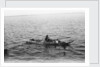 Man on a small boat by unknown