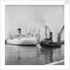 The 'Brasil Star' and the tug Napia by Grierson