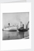 The 'Brasil Star' and the tug Napia by Grierson