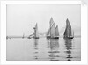 A tug and sailing vessels on the River Torridge off Appledore in Devon by unknown