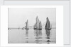 A tug and sailing vessels on the River Torridge off Appledore in Devon by unknown