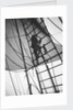 A seaman enticing the ship's cat up one of the shrouds of 'Pommern' (Fi, 1903) 4 masted barque, ex 'Mneme', Gustaf Erikson by Unknown
