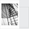 A seaman enticing the ship's cat up one of the shrouds of 'Pommern' (Fi, 1903) 4 masted barque, ex 'Mneme', Gustaf Erikson by Unknown