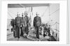 Crew of HMS 'Sphinx' (1882) by unknown