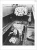 Unloading frozen meat from the 'Clan MacDougall' in 1877 by unknown