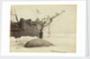 Walrus killed in Franklin Pierce Bay, 10 August 1875 by George White