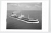 A starboard bow view of 'Amastra' (1958); Under way in the Strait of Malacca. by Unknown