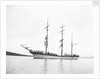The 'Giuseppe D'Abundo' (Italy 1885) at anchor by unknown