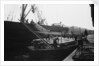 Discharging deals and timber products at Russia Dock by Browne Collection