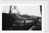 Discharging deals and timber products at Russia Dock by Browne Collection