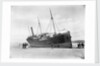 Bow view of the steam coaster Fleswick (1899) by Gibson & Sons of Scilly