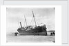 Bow view of the steam coaster Fleswick (1899) by Gibson & Sons of Scilly