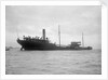 A starboard quarter view of the US tanker 'Gulflight' (1914) after having been torpedoed by Gibson's of Scilly Shipwreck Collection