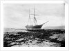 A starboard bow view of the brigantine Henry Harvey (1857) aground by Gibson & Sons of Scilly