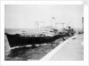 'Wave Premier' (Br, 1946) by Unknown