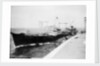 'Wave Premier' (Br, 1946) by Unknown