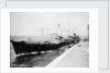 'Wave Premier' (Br, 1946) by Unknown
