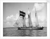 'Mary Millar' 3 masted topsail schooner, at sail off Mevagissey bound for Runcorn with a cargo of china clay by Unknown