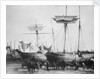 'RGD' 2 masted topsail schooner by unknown