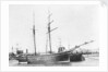 Photograph of the vessel 'Little Gem' (1893) by unknown