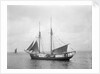 The 2 masted schooner 'Rothersand' (Britain, 1907), ex 'Heinrich Linnemann', Albert Westcott (Plymouth) by unknown