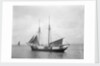The 2 masted schooner 'Rothersand' (Britain, 1907), ex 'Heinrich Linnemann', Albert Westcott (Plymouth) by unknown