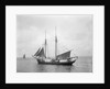 The 2 masted schooner 'Rothersand' (Britain, 1907), ex 'Heinrich Linnemann', Albert Westcott (Plymouth) by unknown