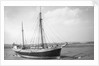 'Garlandstone' auxilary ketch, dried out at Braunton Pill by unknown