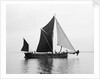 'Phoenician' (Br, 1922) spritsail barge, under sail during Thamse barge race by unknown