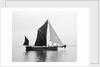 'Phoenician' (Br, 1922) spritsail barge, under sail during Thamse barge race by unknown