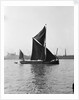 'Pimlico' (Br, 1914) spritsail barge, under sail off Greenwich by Unknown