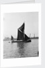 'Pimlico' (Br, 1914) spritsail barge, under sail off Greenwich by Unknown