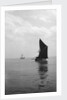 'Sara' (Br, 1902) under sail during Thames barge race by unknown