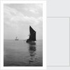 'Sara' (Br, 1902) under sail during Thames barge race by unknown