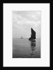 'Sara' (Br, 1902) under sail during Thames barge race by unknown