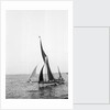 'Sara' (Br, 1902) under sail during Thames barge race by unknown
