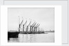 Topsail barges by Unknown