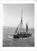 The Brixham trawler 'Provident'  (Britain, 1924), William Pillar, 5 Berry Head Road, Brixham by unknown