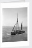 The Brixham trawler 'Provident'  (Britain, 1924), William Pillar, 5 Berry Head Road, Brixham by unknown
