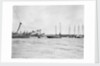 Douarnenez lugger by unknown