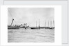 Douarnenez lugger by unknown