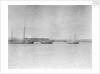 Douarnenez lugger by unknown