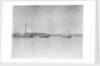 Douarnenez lugger by unknown