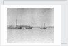Douarnenez lugger by unknown