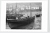 'Boy Willie', Mounts Bay mackerel driver, dried out in Mousehole harbour by unknown