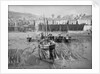 'Boy Willie' Mounts Bay mackerel driver by unknown
