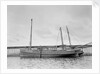'Mary and Emily' (Br, 1922), at quayside, Newlyn by unknown